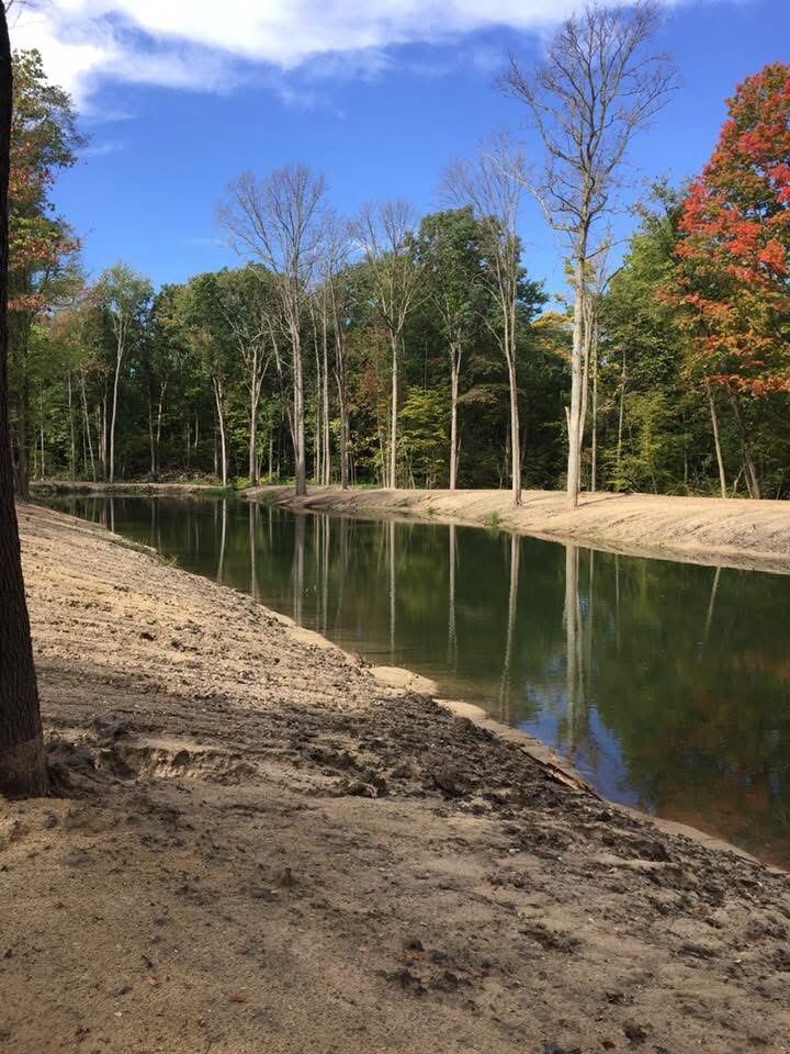 Freshly dug pond with clean banks reflecting the tree line